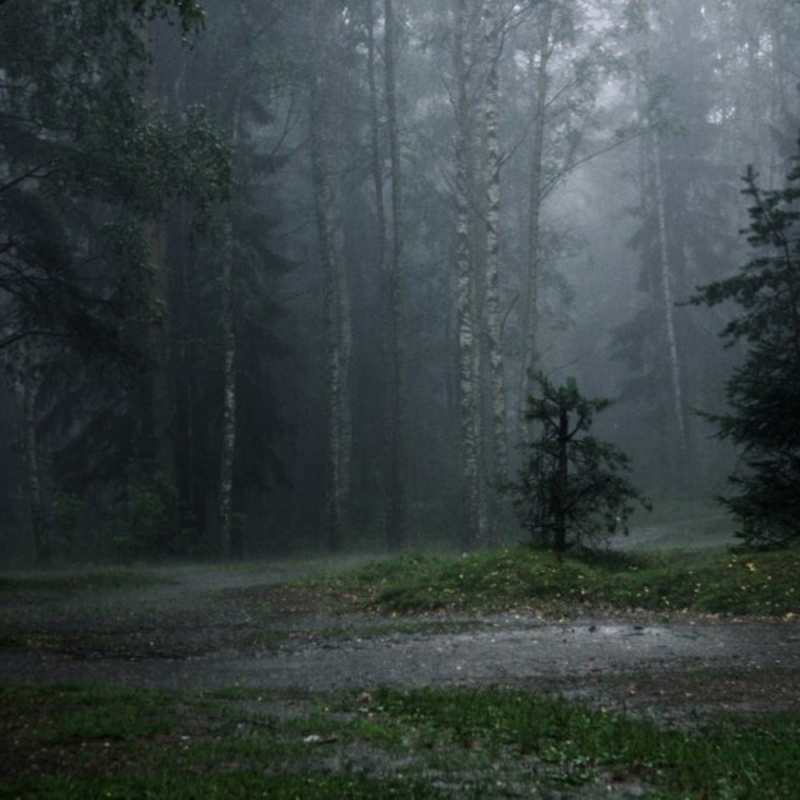 Картинка Я по тебе скучаю, Архип