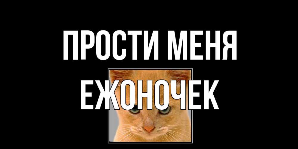 Открытка на каждый день с именем, Ежоночек Прости меня рыжий грустный кот просит прощения Прикольная открытка с пожеланием онлайн скачать бесплатно 