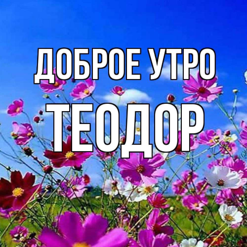 Открытка на каждый день с именем, Теодор Доброе утро сиреневые цветы Прикольная открытка с пожеланием онлайн скачать бесплатно 