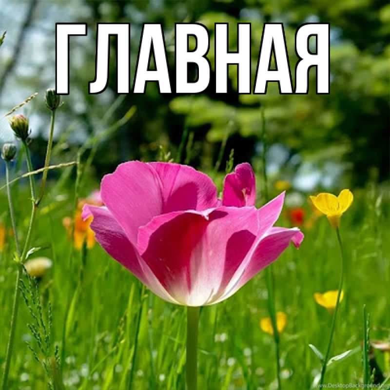 Картинка  с именем , настя