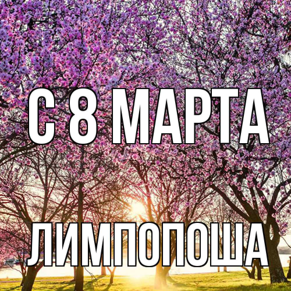Открытка на каждый день с именем, лимпопоша C 8 МАРТА международный женский день Прикольная открытка с пожеланием онлайн скачать бесплатно 