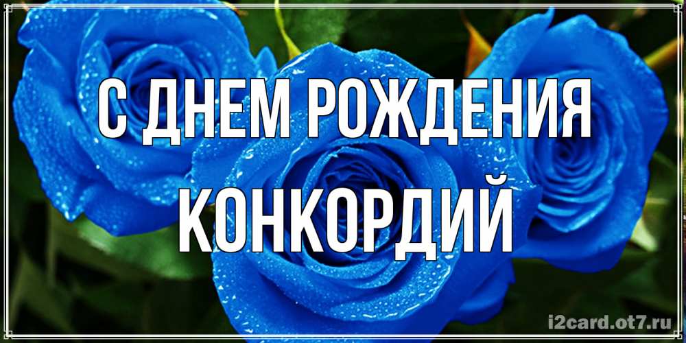 Открытка на каждый день с именем, Конкордий С днем рождения розы с синим цветом Прикольная открытка с пожеланием онлайн скачать бесплатно 