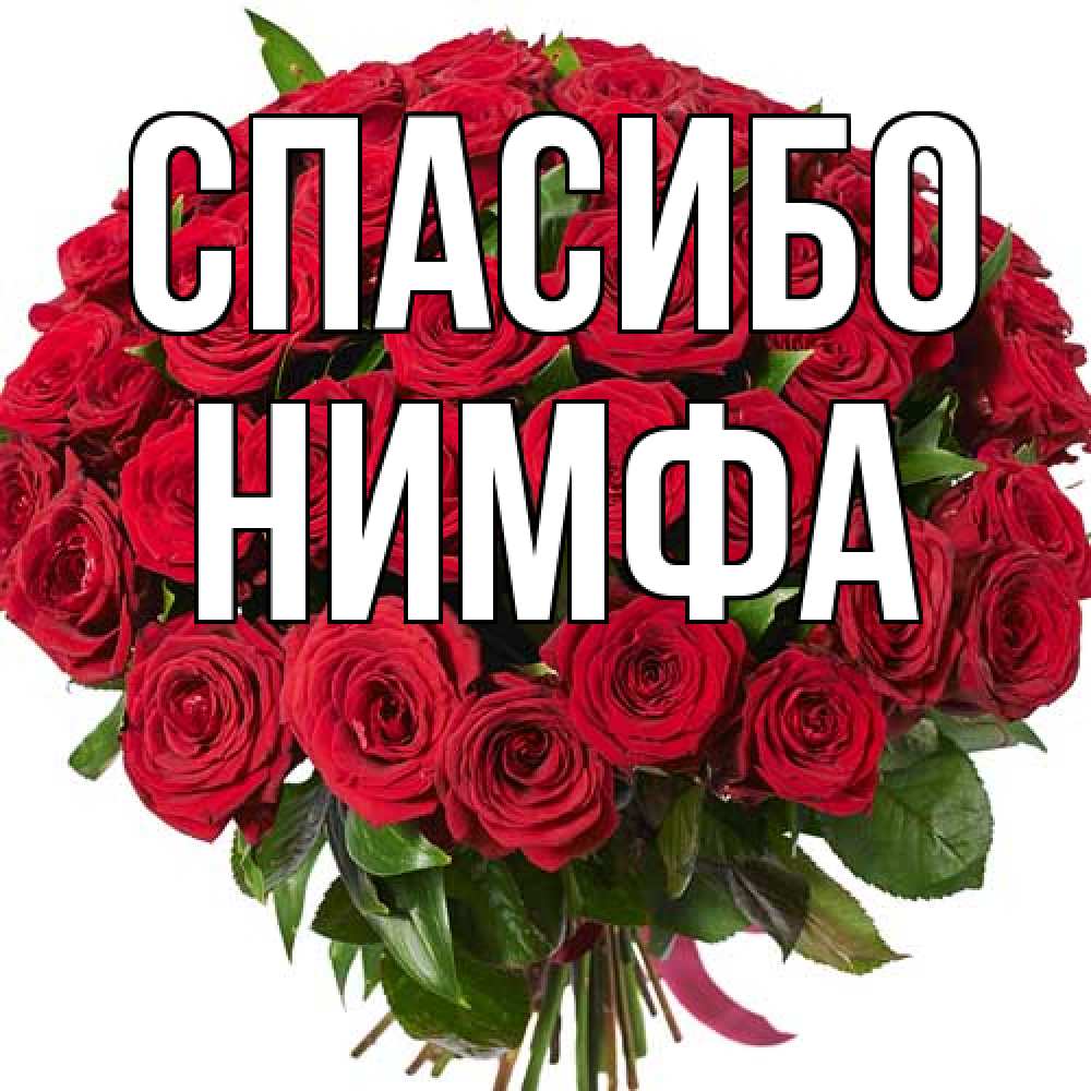 Открытка на каждый день с именем, Нимфа Спасибо букет красных роз Прикольная открытка с пожеланием онлайн скачать бесплатно 