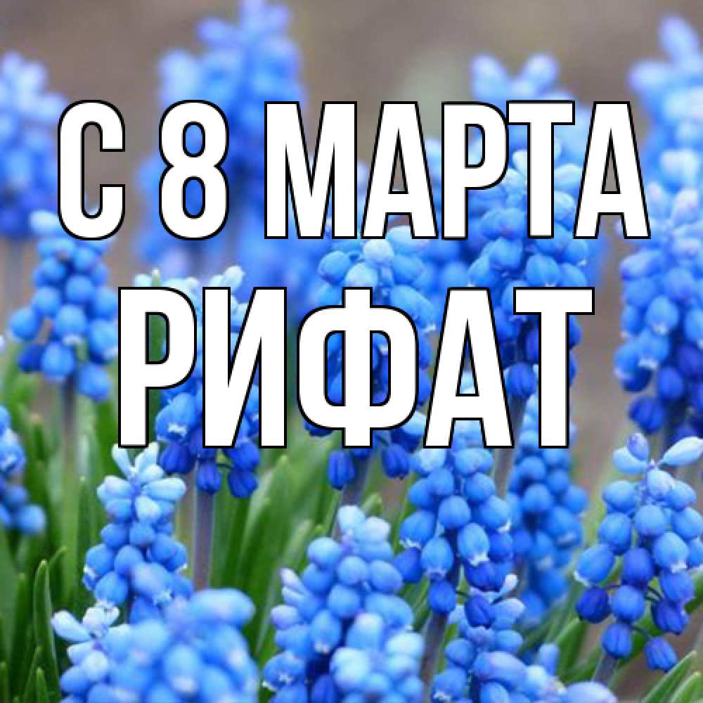 Открытка на каждый день с именем, Рифат C 8 МАРТА Поздравительная открытка для женщин с цветами на праздничную дату Прикольная открытка с пожеланием онлайн скачать бесплатно 