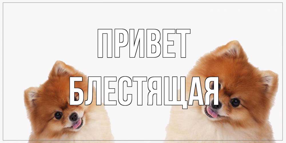 Открытка на каждый день с именем, блестящая Привет привет Прикольная открытка с пожеланием онлайн скачать бесплатно 