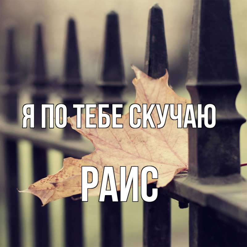 Картинка Я по тебе скучаю, Раис