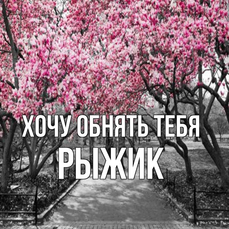 Картинка Хочу обнять тебя, рыжик