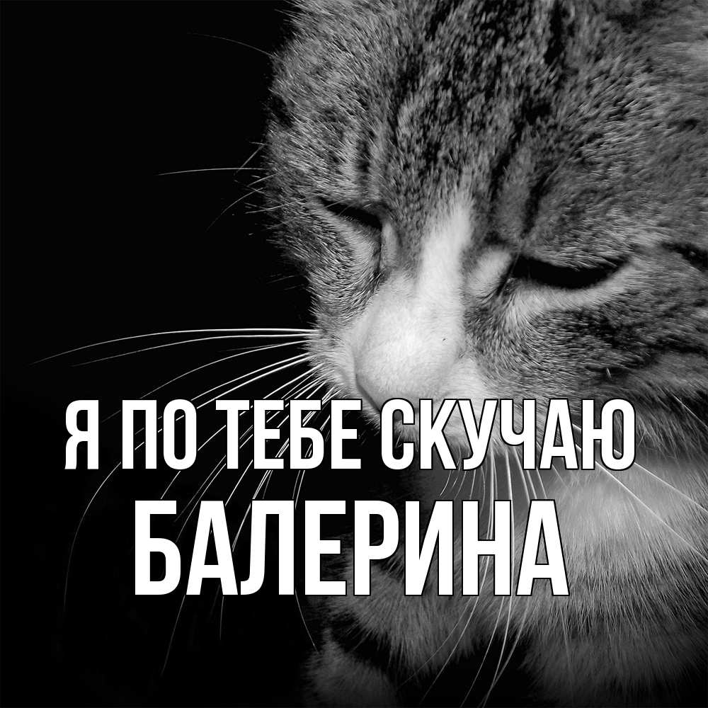 Открытка на каждый день с именем, Балерина Я по тебе скучаю мне скучно Прикольная открытка с пожеланием онлайн скачать бесплатно 