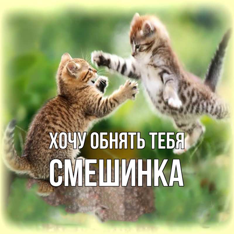 Картинка Хочу обнять тебя, Смешинка