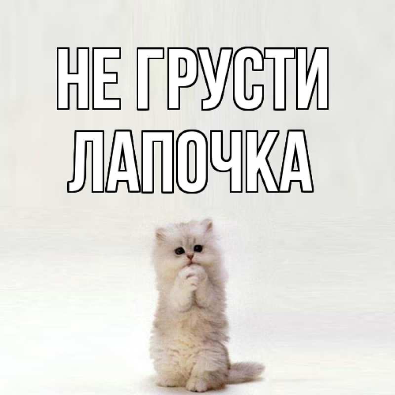 Картинка Не грусти, лапочка