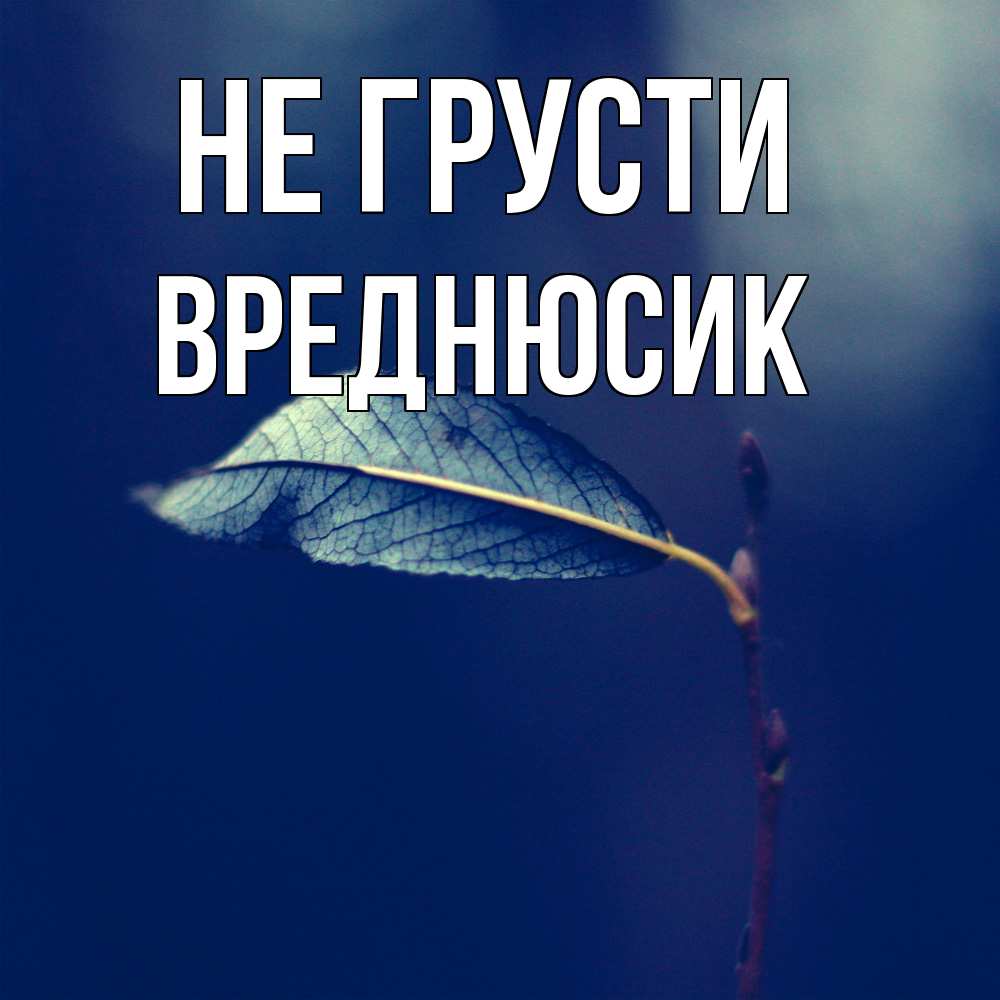 Открытка на каждый день с именем, Вреднюсик Не грусти растение Прикольная открытка с пожеланием онлайн скачать бесплатно 