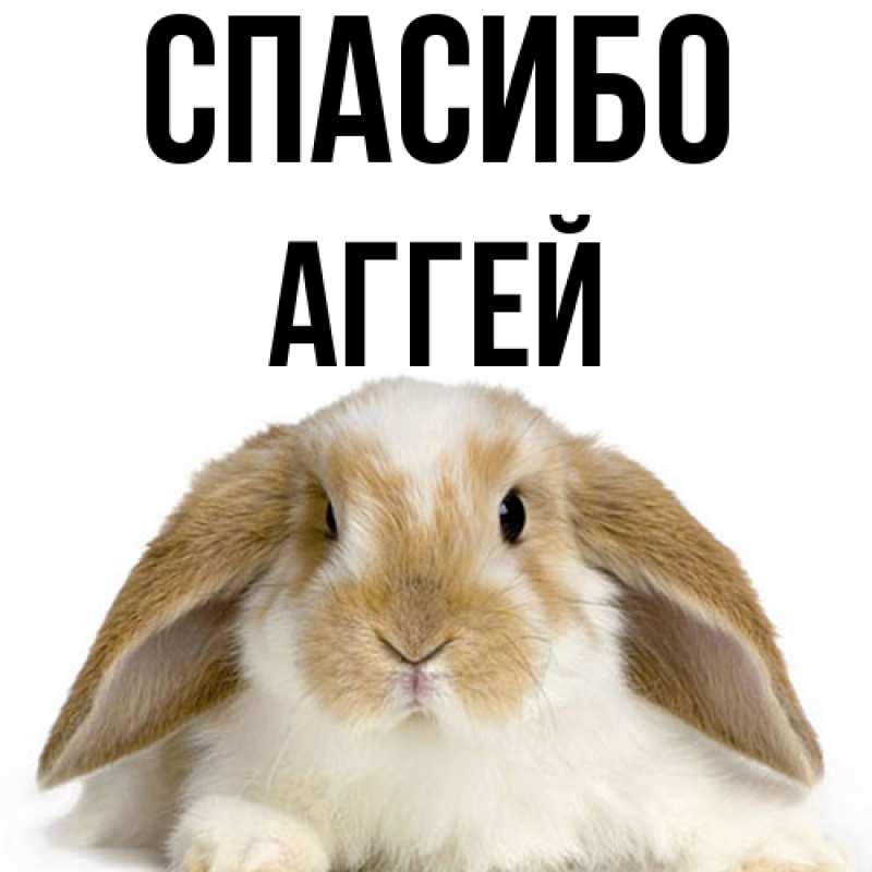 Картинка Спасибо, Аггей