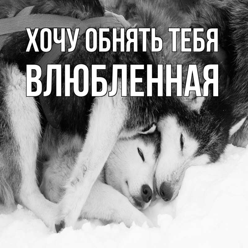 Картинка Хочу обнять тебя, Влюбленная