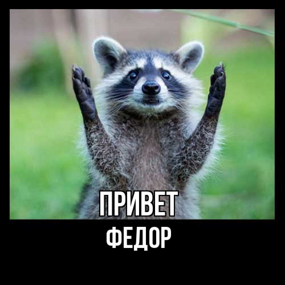 Открытка на каждый день с именем, Федор Привет животные Прикольная открытка с пожеланием онлайн скачать бесплатно 