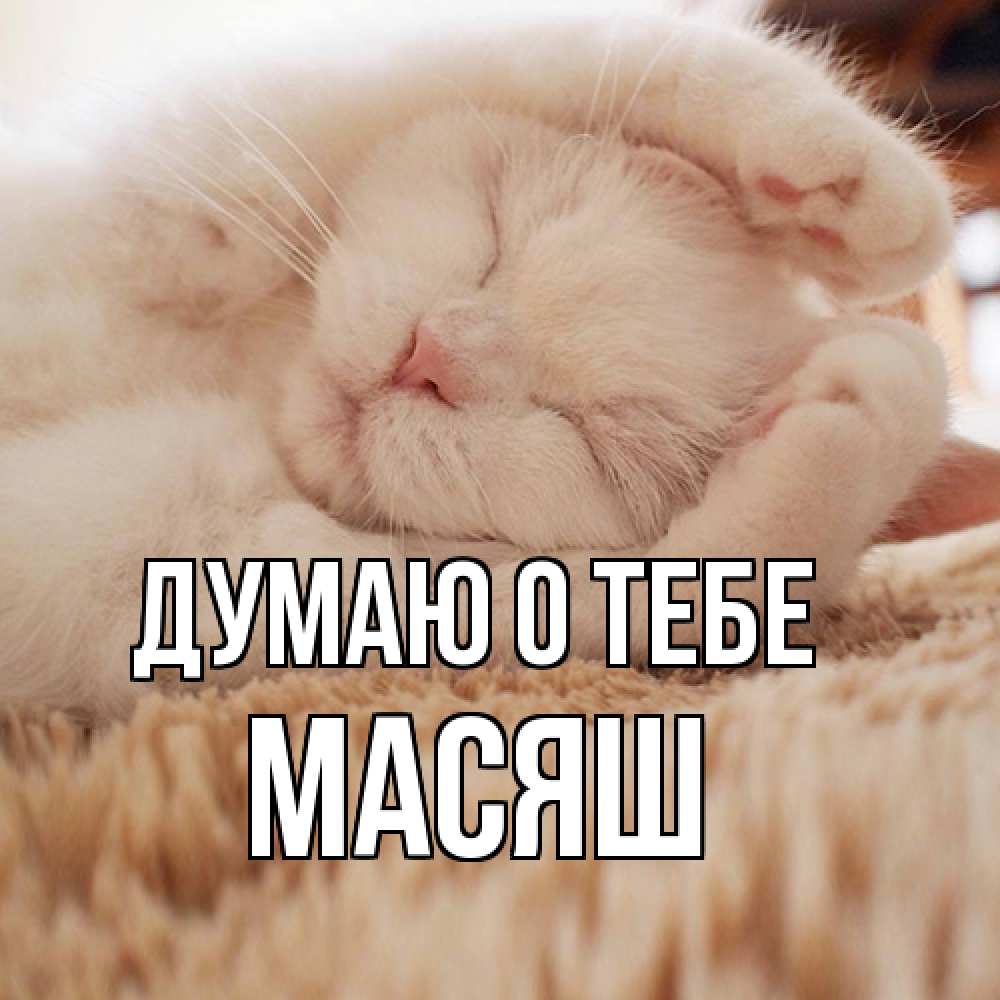 Открытка на каждый день с именем, Масяш Думаю о тебе для любимой девушки милота Прикольная открытка с пожеланием онлайн скачать бесплатно 