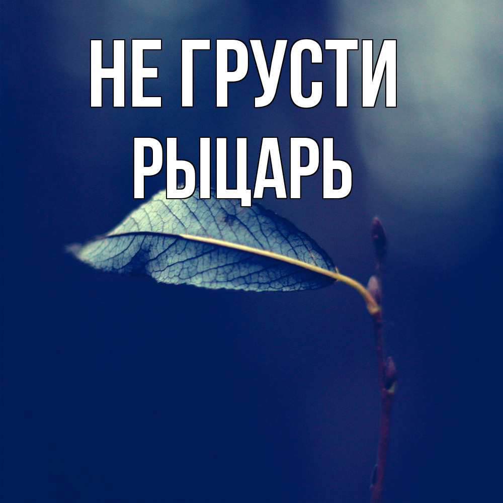Открытка на каждый день с именем, Рыцарь Не грусти растение Прикольная открытка с пожеланием онлайн скачать бесплатно 