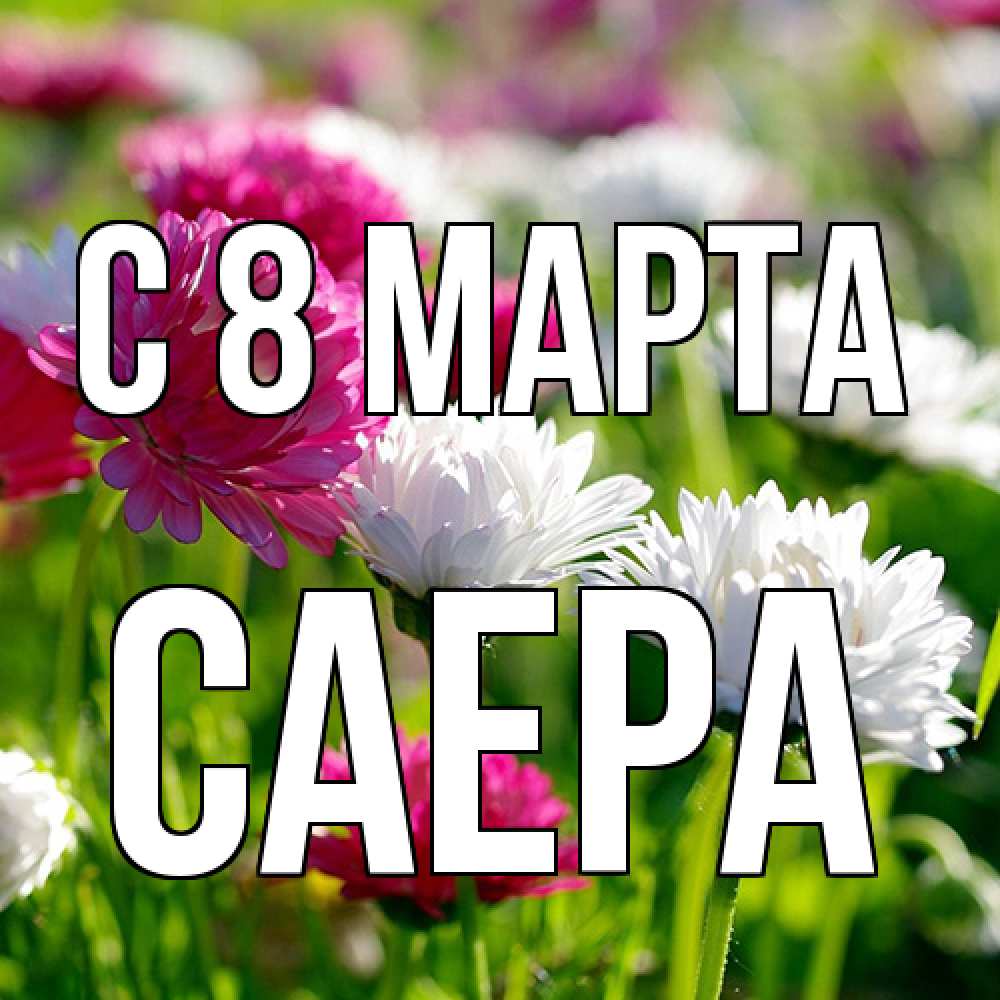 Открытка на каждый день с именем, Саера C 8 МАРТА международный женский день 1 Прикольная открытка с пожеланием онлайн скачать бесплатно 