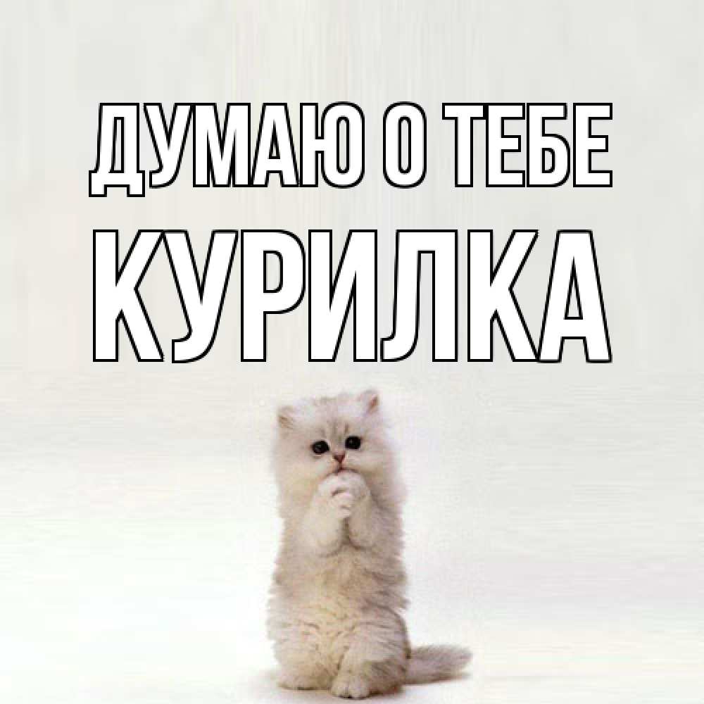 Открытка на каждый день с именем, Курилка Думаю о тебе кот стоит на задних лапах Прикольная открытка с пожеланием онлайн скачать бесплатно 