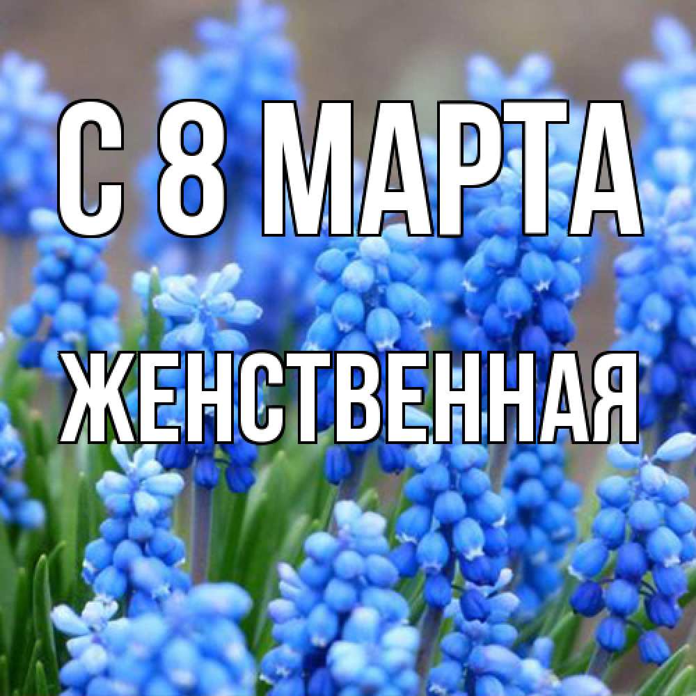 Открытка на каждый день с именем, женственная C 8 МАРТА Поздравительная открытка для женщин с цветами на праздничную дату Прикольная открытка с пожеланием онлайн скачать бесплатно 