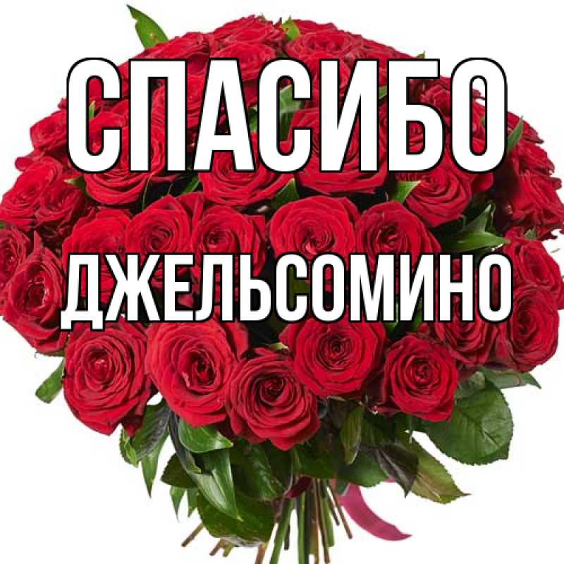 Картинка Спасибо, Джельсомино