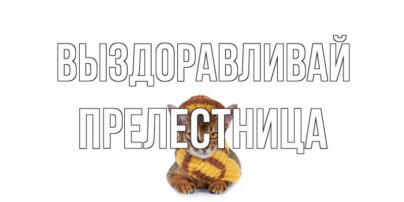 Картинка Выздоравливай, Прелестница