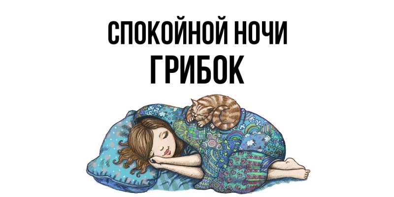 Картинка Спокойной ночи, Грибок