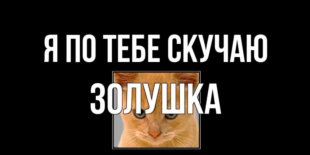 Открытка на каждый день с именем, Золушка Я по тебе скучаю открытки рыжий котенок скучает по тебе Прикольная открытка с пожеланием онлайн скачать бесплатно 