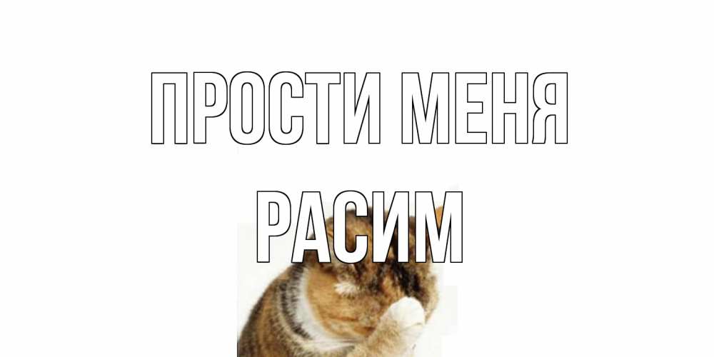 Открытка на каждый день с именем, Расим Прости меня кот Прикольная открытка с пожеланием онлайн скачать бесплатно 