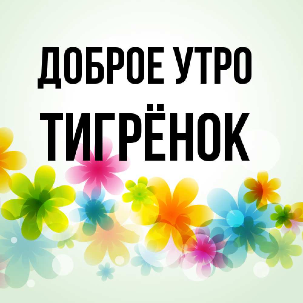 Открытка на каждый день с именем, Тигрёнок Доброе утро позитивные цветочки Прикольная открытка с пожеланием онлайн скачать бесплатно 