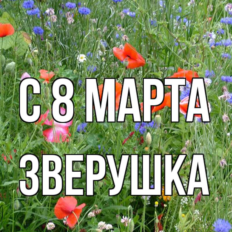 Картинка C 8 МАРТА, Зверушка