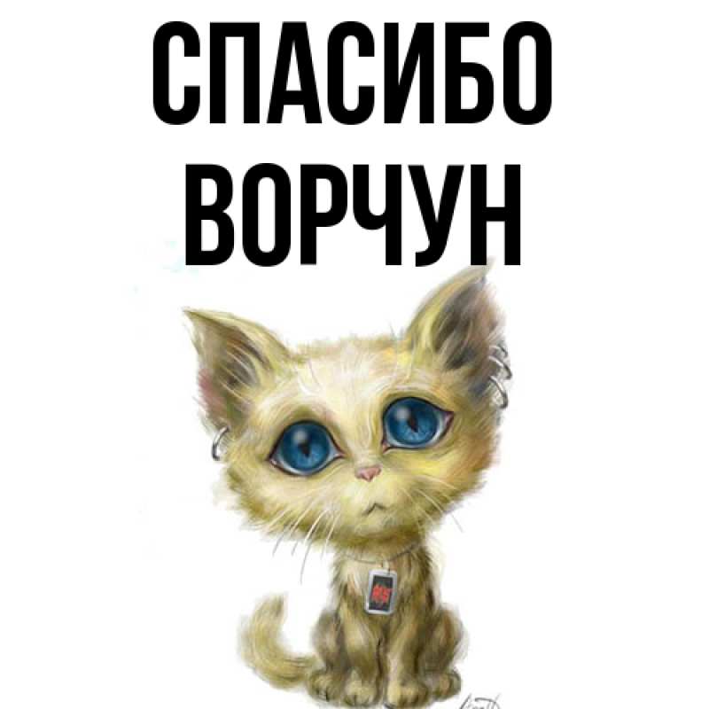 Картинка Спасибо, Ворчун