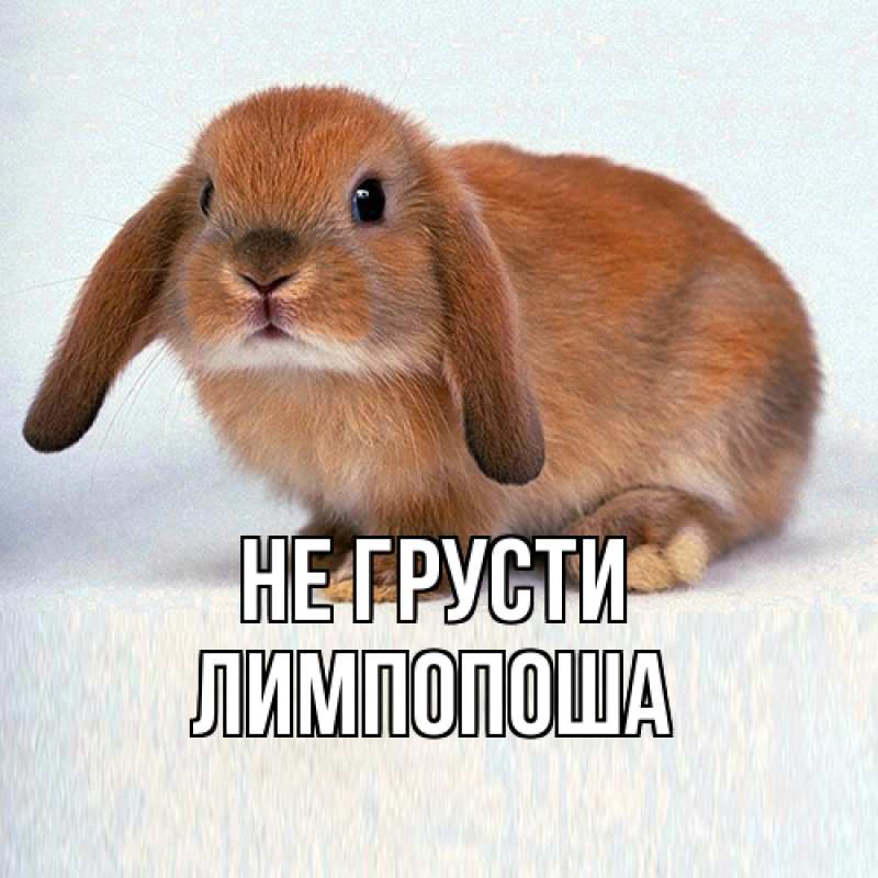 Открытка с именем, лимпопоша, Не грусти