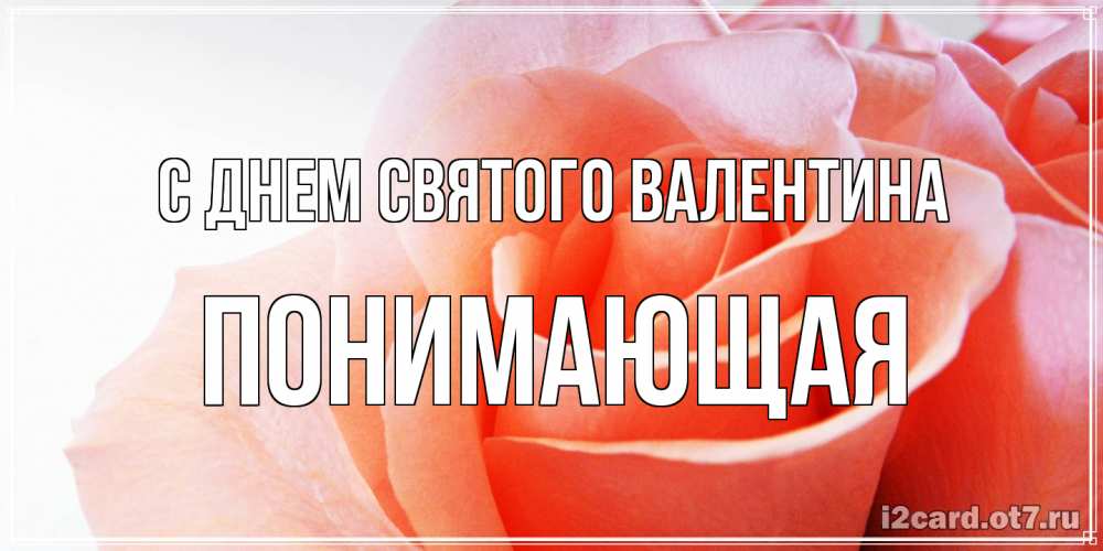 Открытка на каждый день с именем, Понимающая С днем Святого Валентина открытка на день Святого Валентина с розовой розой Прикольная открытка с пожеланием онлайн скачать бесплатно 