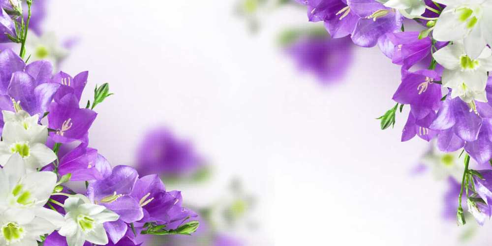 Открытка на каждый день с именем, Альберт С днем рождения открытка на день рождения с сиреневыми цветами Прикольная открытка с пожеланием онлайн скачать бесплатно 