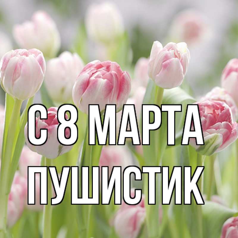 Картинка C 8 МАРТА, Пушистик