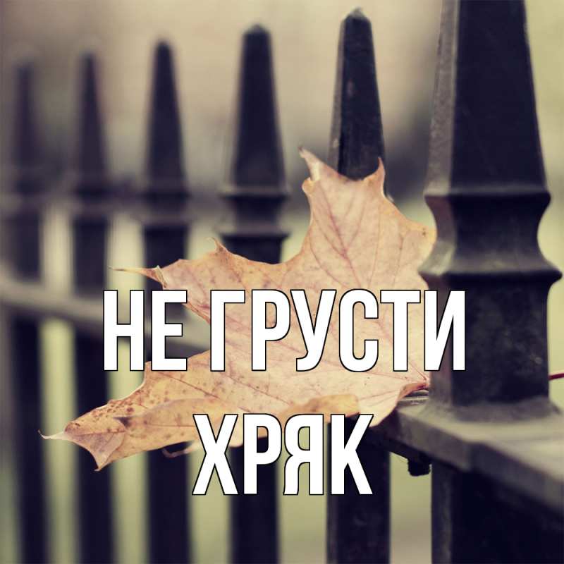 Картинка Не грусти, Хряк