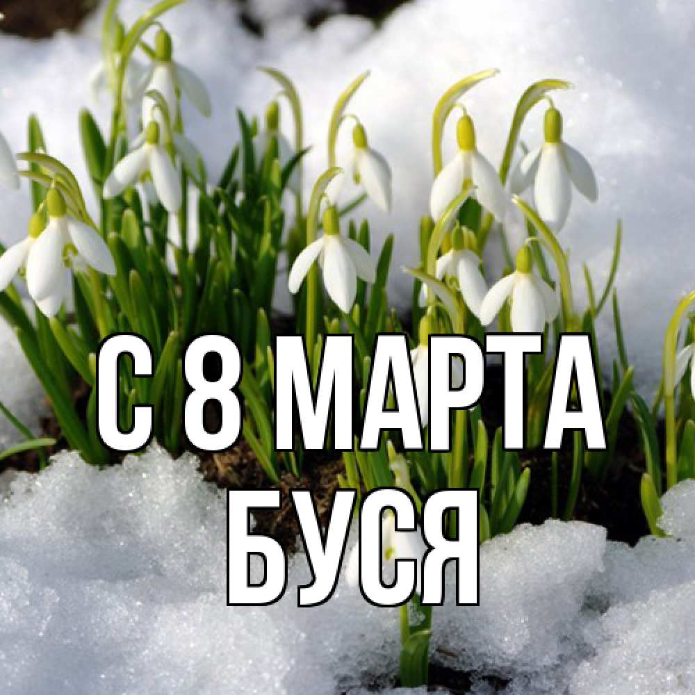 Открытка на каждый день с именем, Буся C 8 МАРТА цветы весенние Прикольная открытка с пожеланием онлайн скачать бесплатно 