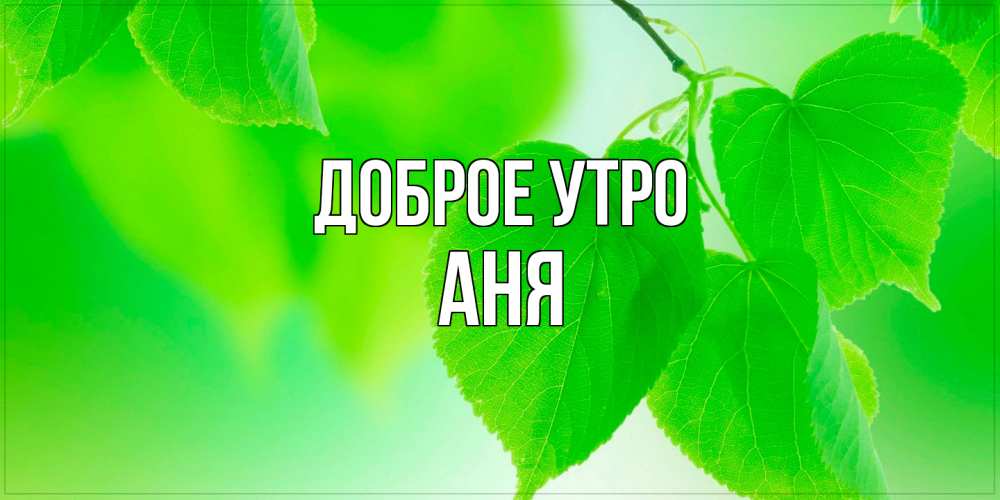 Открытка на каждый день с именем, Аня Доброе утро доброе утро с березовыми листьями Прикольная открытка с пожеланием онлайн скачать бесплатно 