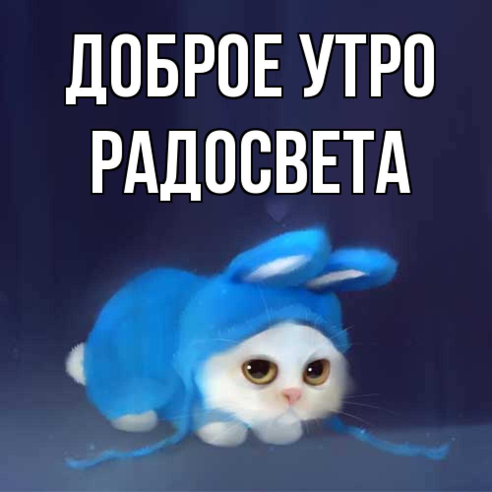 Открытка на каждый день с именем, Радосвета Доброе утро открытки красивые скачать бесплатно Прикольная открытка с пожеланием онлайн скачать бесплатно 