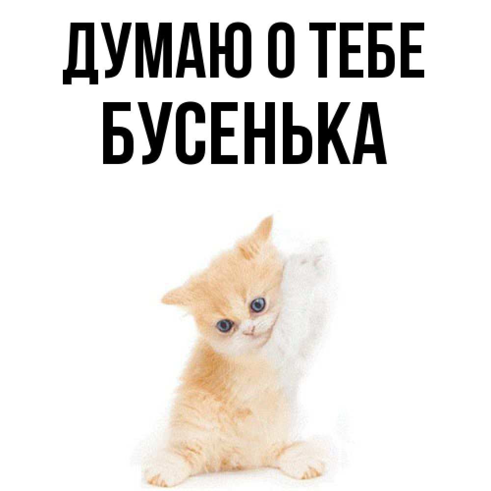 Открытка на каждый день с именем, бусенька Думаю о тебе зверушки и милота Прикольная открытка с пожеланием онлайн скачать бесплатно 