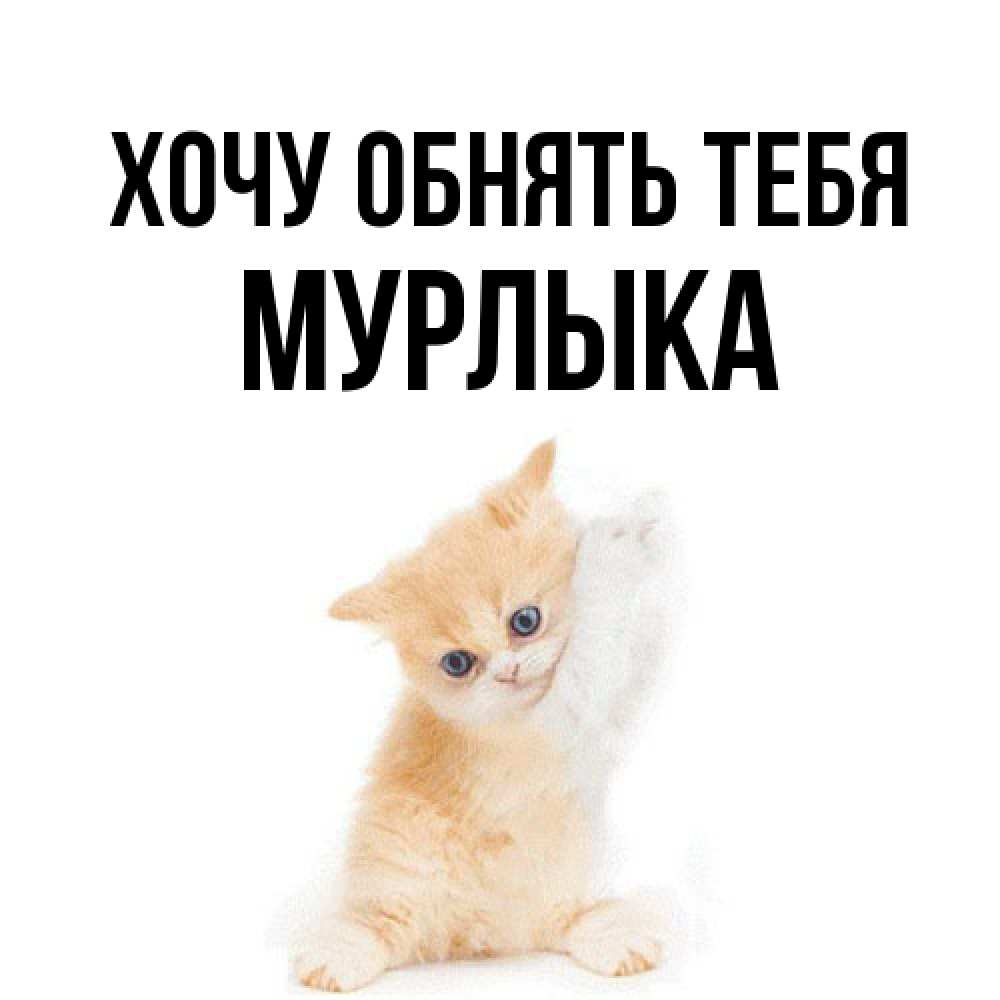 Открытка на каждый день с именем, мурлыка Хочу обнять тебя я хочу очень скорее обнимаешек Прикольная открытка с пожеланием онлайн скачать бесплатно 