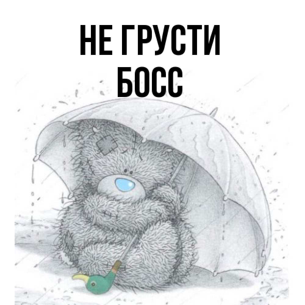 Открытка на каждый день с именем, Босс Не грусти спасите мишку Тедди Прикольная открытка с пожеланием онлайн скачать бесплатно 