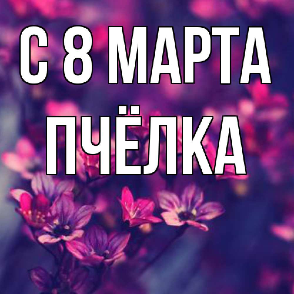 Открытка на каждый день с именем, Пчёлка C 8 МАРТА небольшие цветы 1 Прикольная открытка с пожеланием онлайн скачать бесплатно 