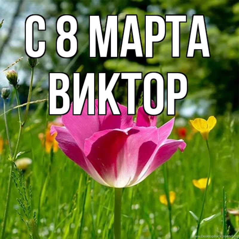 Картинка C 8 МАРТА, Виктор