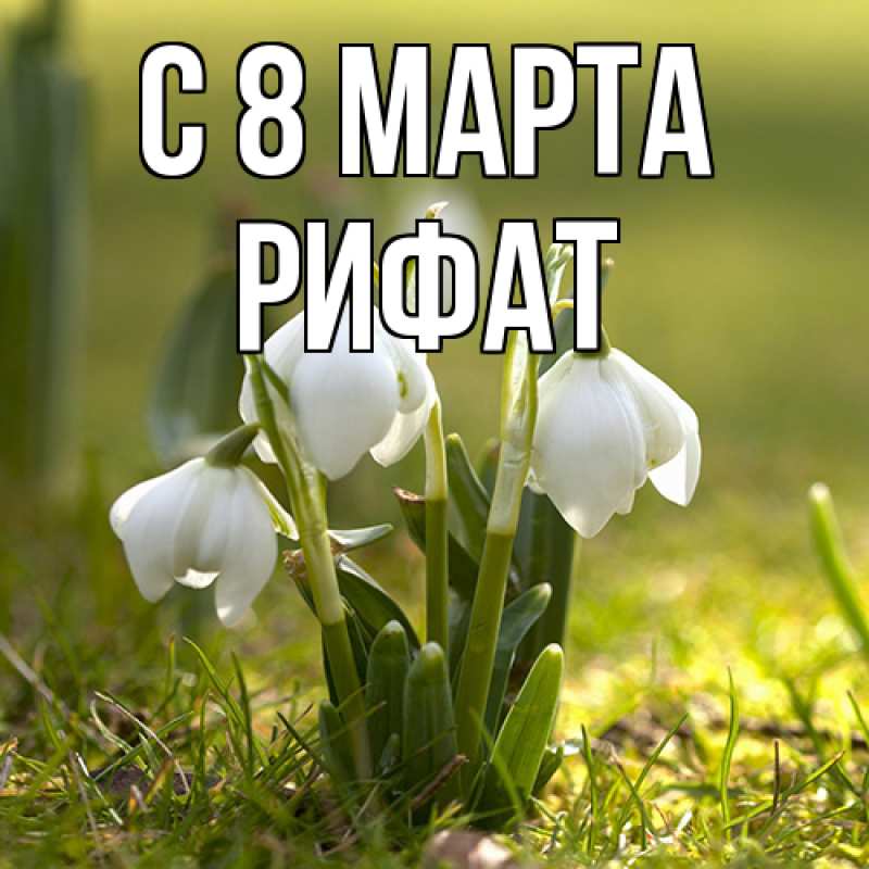 Картинка C 8 МАРТА, Рифат