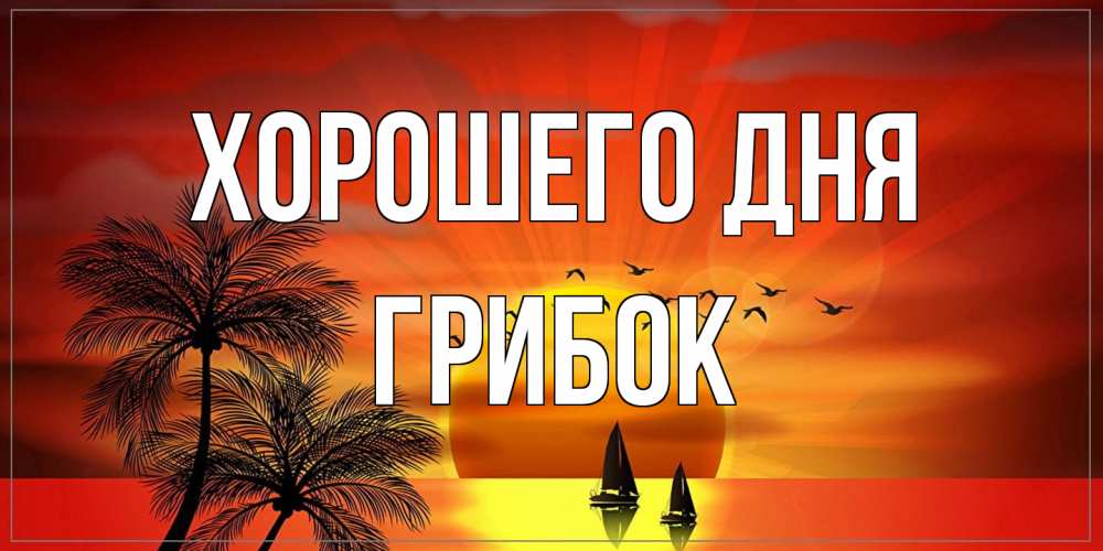 Открытка на каждый день с именем, Грибок Хорошего дня открытки с пожеланиями хорошего дня Прикольная открытка с пожеланием онлайн скачать бесплатно 