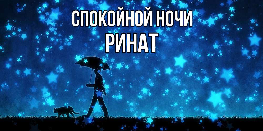 Открытка на каждый день с именем, Ринат Спокойной ночи ночные прогулки с котом под звездами Прикольная открытка с пожеланием онлайн скачать бесплатно 