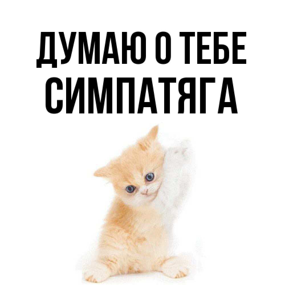 Открытка на каждый день с именем, Симпатяга Думаю о тебе зверушки и милота Прикольная открытка с пожеланием онлайн скачать бесплатно 