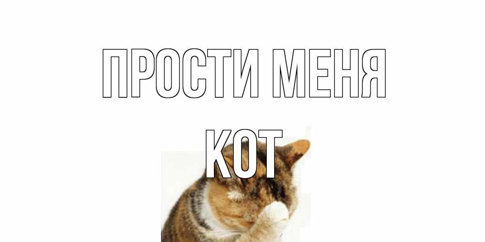 Открытка на каждый день с именем, Кот Прости меня кот Прикольная открытка с пожеланием онлайн скачать бесплатно 