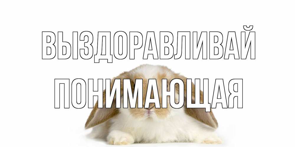 Открытка на каждый день с именем, Понимающая Выздоравливай вислоухий кролик белого и коричневого цвета Прикольная открытка с пожеланием онлайн скачать бесплатно 